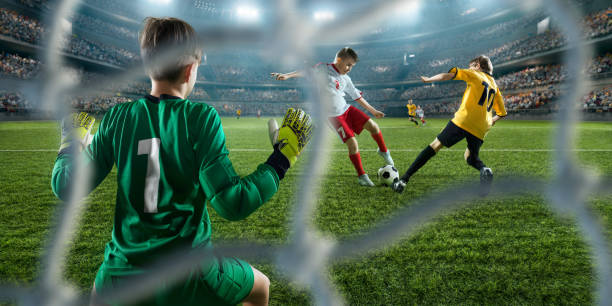 他将极大提 他将极大提