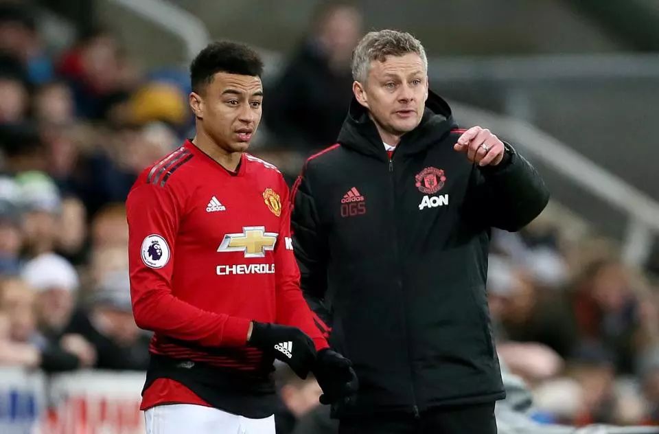 定制的体能 定制的体能